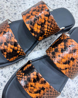 Wave Slide - Coco Snake