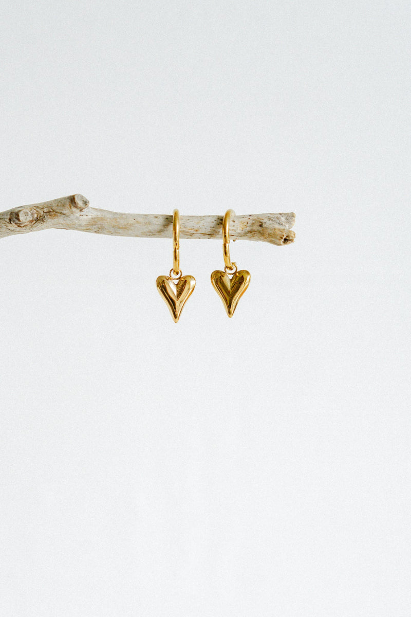 Dana Earrings -  Gold
