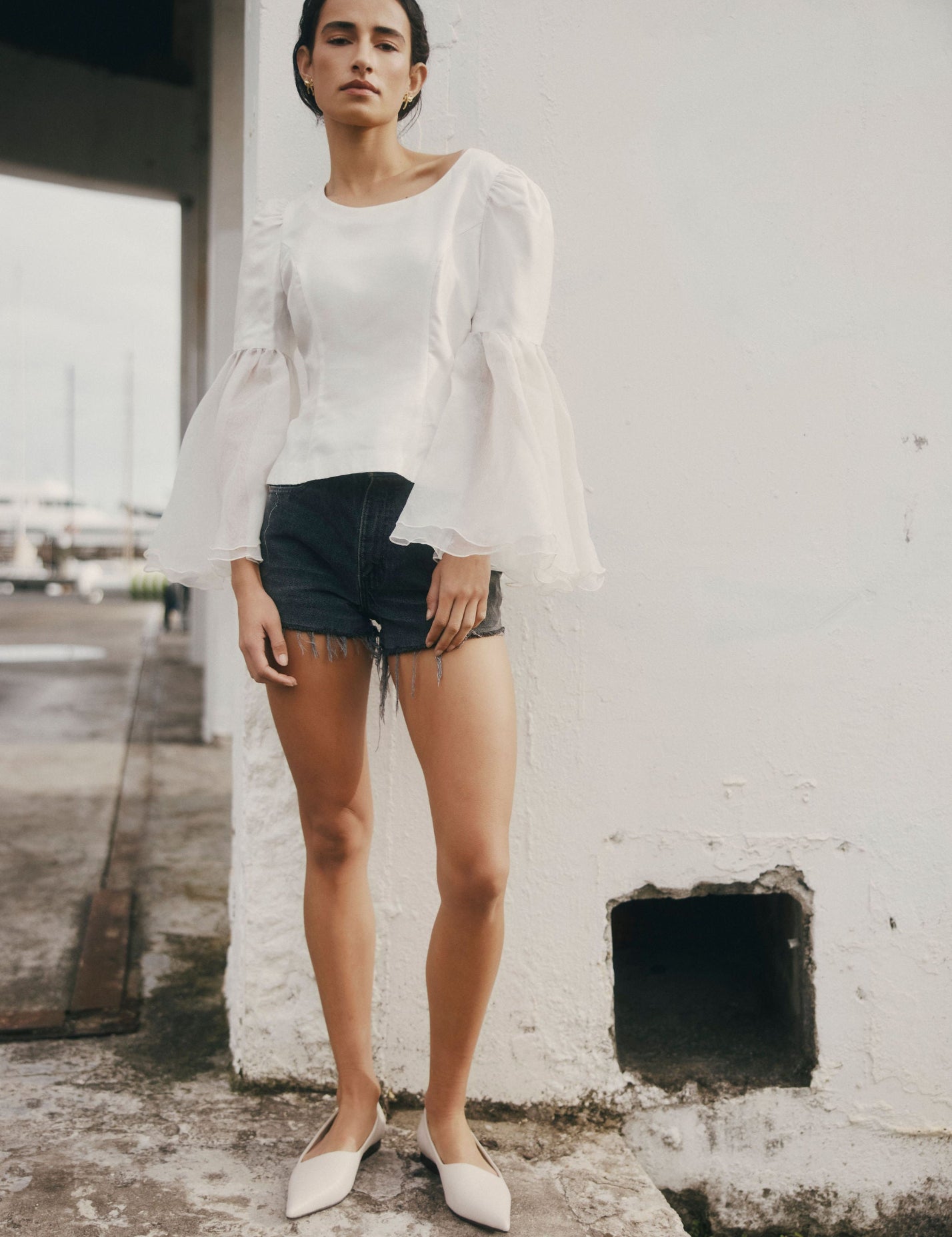 Dynasty_oyster-D1-L01-0056.jpg